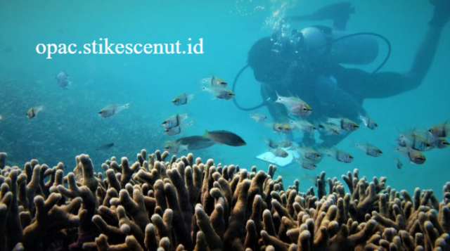 Mengulas Konservasi Kelautan Digital